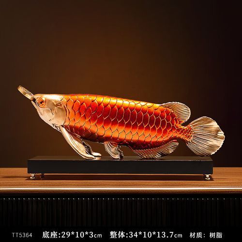 有沒有更多龍魚擺放的吉位圖片示例？