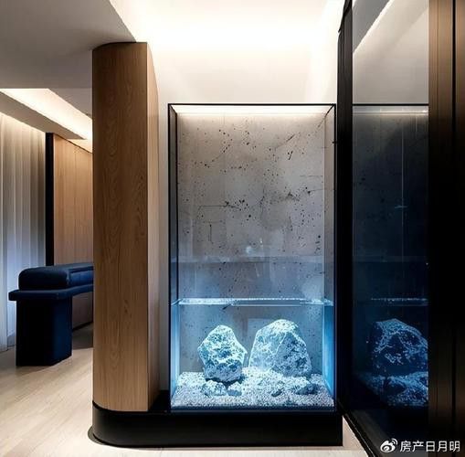 有沒有更多龍魚擺放的吉位圖片示例？