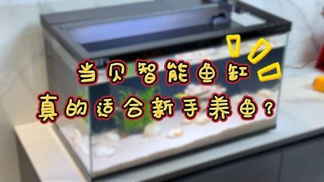口碑較好的魚(yú)缸 口碑較好的魚(yú)缸 龍魚(yú)百科 第3張