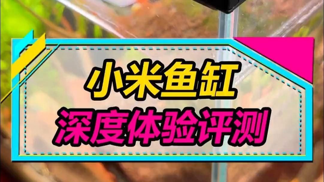 口碑較好的魚(yú)缸 口碑較好的魚(yú)缸 龍魚(yú)百科 第1張