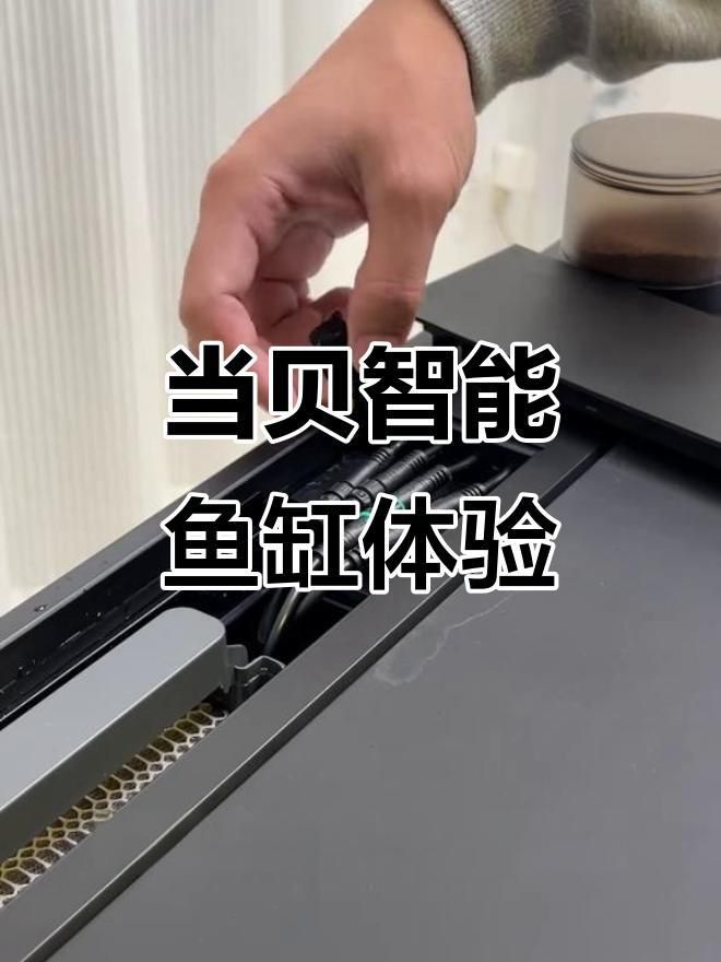 口碑較好的魚(yú)缸 口碑較好的魚(yú)缸 龍魚(yú)百科 第5張