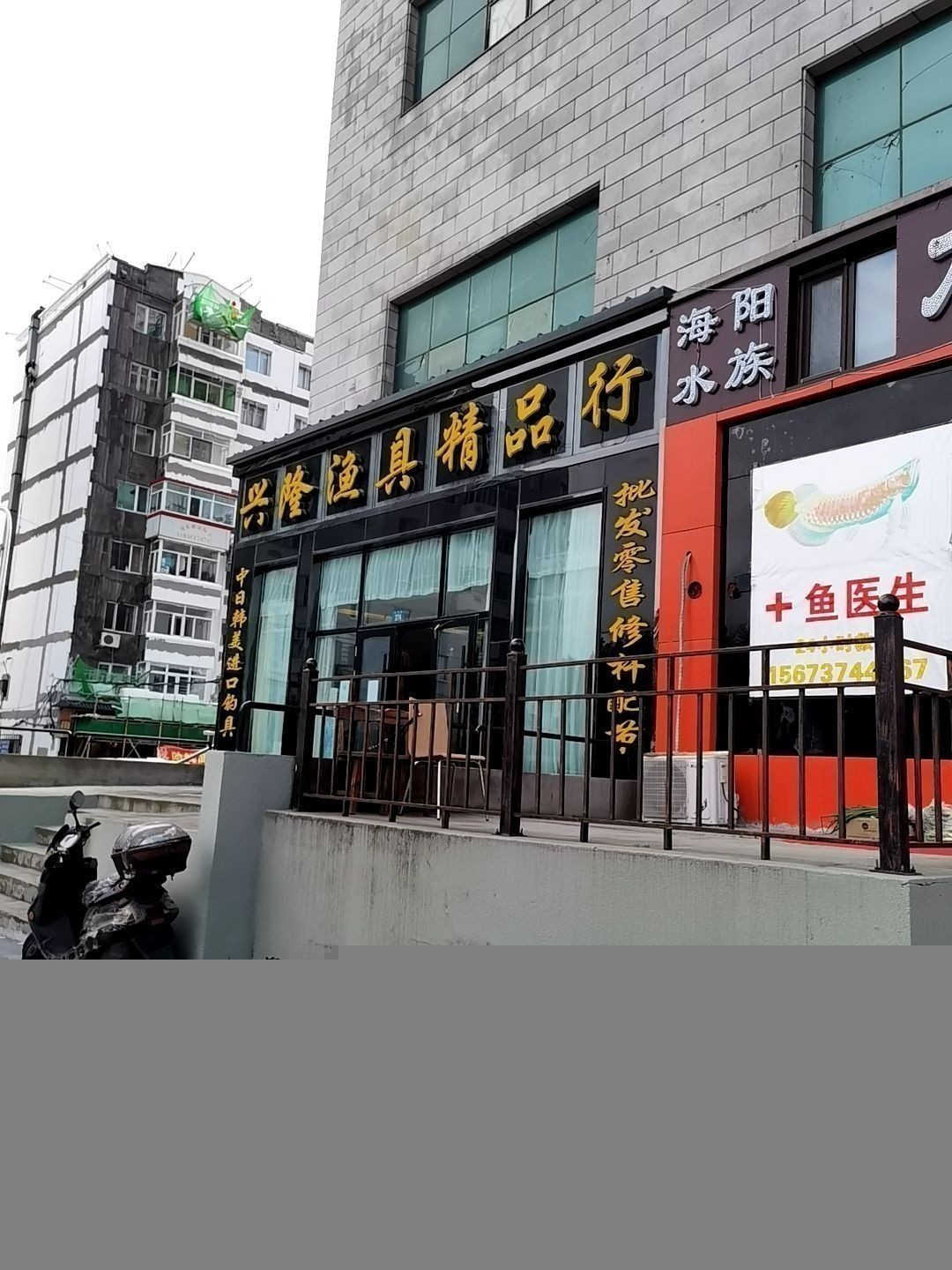 哈爾濱賣龍魚的地方在哪兒 哈爾濱賣龍魚的地方在哪兒 龍魚百科 第2張