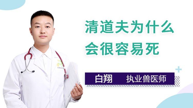 清道夫和龍魚養(yǎng),清道夫都活不久嗎