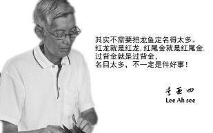 李亞四金龍魚特點 李亞四金龍魚特點 龍魚百科 第10張