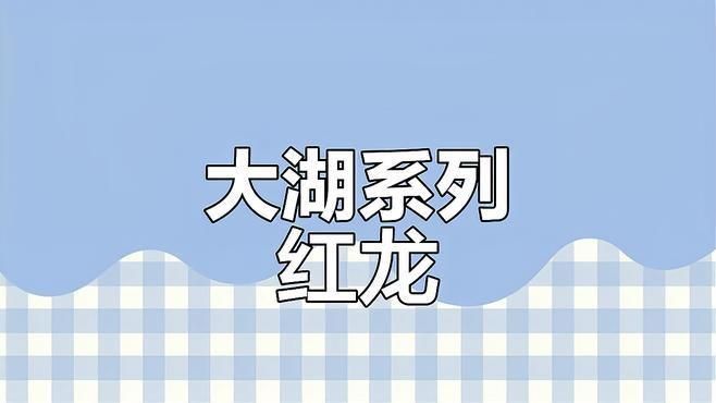 能否提供更多關于大湖紅龍的信息？ 能否提供更多關于大湖紅龍的信息？ 龍魚百科 第8張