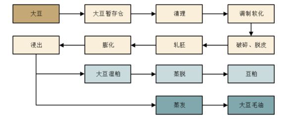 金龍魚脫皮怎么辦：金龍魚頭部脫皮怎么辦金龍魚頭部脫皮怎么辦