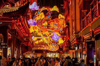龍魚換魚缸背景會趴缸嗎