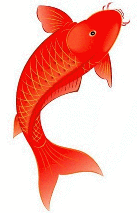 紅龍魚微信頭像動態(tài)GIF素材有哪些？