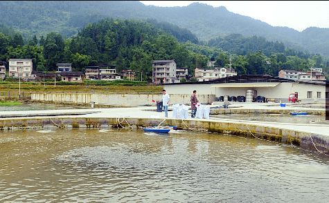 印尼漁業資源現狀分析：印尼漁業資源可持續利用