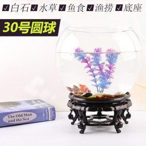 龍魚缸里養(yǎng)小魚直接讓龍魚吃（在龍魚缸中飼養(yǎng)供食用的小魚，需要注意以下幾點）