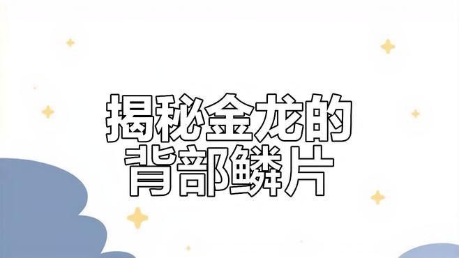 高背金龍魚發(fā)色過程圖片大全欣賞 高背金龍魚發(fā)色過程圖片大全欣賞 龍魚百科 第26張