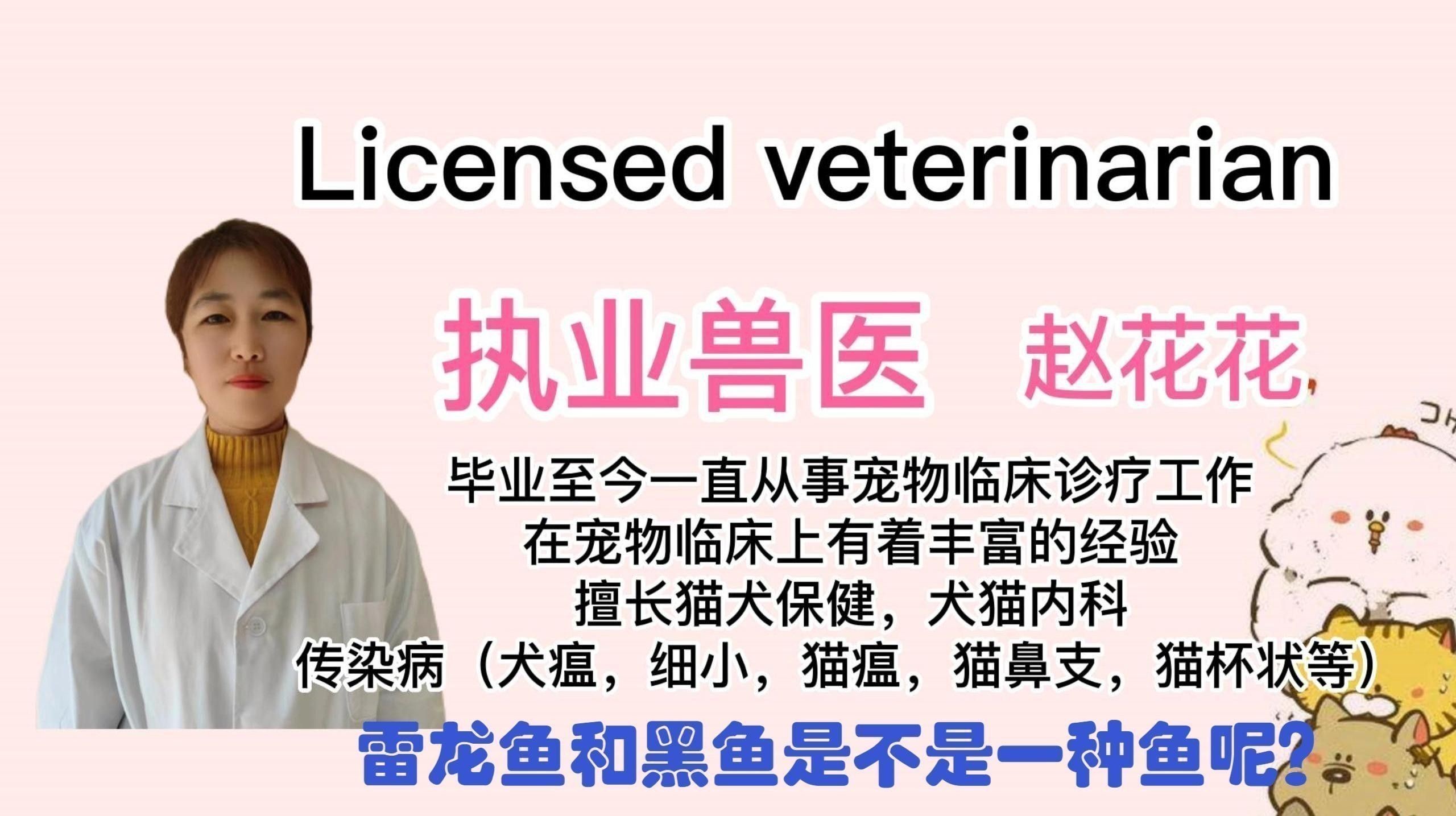 雷龍魚與黑魚