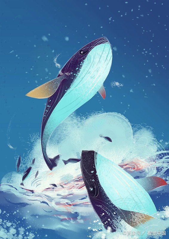 鯨魚怎樣給小鯨魚喂奶 龍魚百科 第17張 鯨魚怎樣給小鯨魚喂奶 鯨魚怎樣給小鯨魚喂奶 龍魚百科 第17張