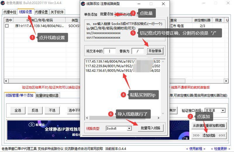 老魚加速器安裝包 老魚加速器安裝包 龍魚百科 第2張