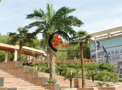 廣州景觀設計批發:尋找廣州景觀設計批發和貨源基地時可以從以下幾個方面進行了解 龍魚百科 第4張 廣州景觀設計批發:尋找廣州景觀設計批發和貨源基地時可以從以下幾個方面進行了解 廣州景觀設計批發:尋找廣州景觀設計批發和貨源基地時可以從以下幾個方面進行了解 龍魚百科 第4張