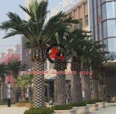 廣州景觀設計批發：尋找廣州景觀設計批發和貨源基地時可以從以下幾個方面進行了解 廣州景觀設計批發：尋找廣州景觀設計批發和貨源基地時可以從以下幾個方面進行了解 龍魚百科 第2張