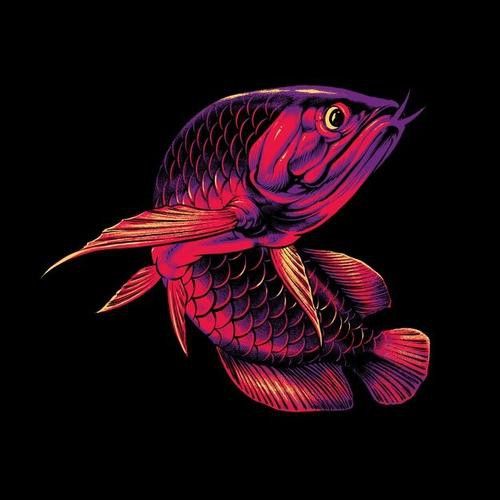 金龍魚科技海報(bào)