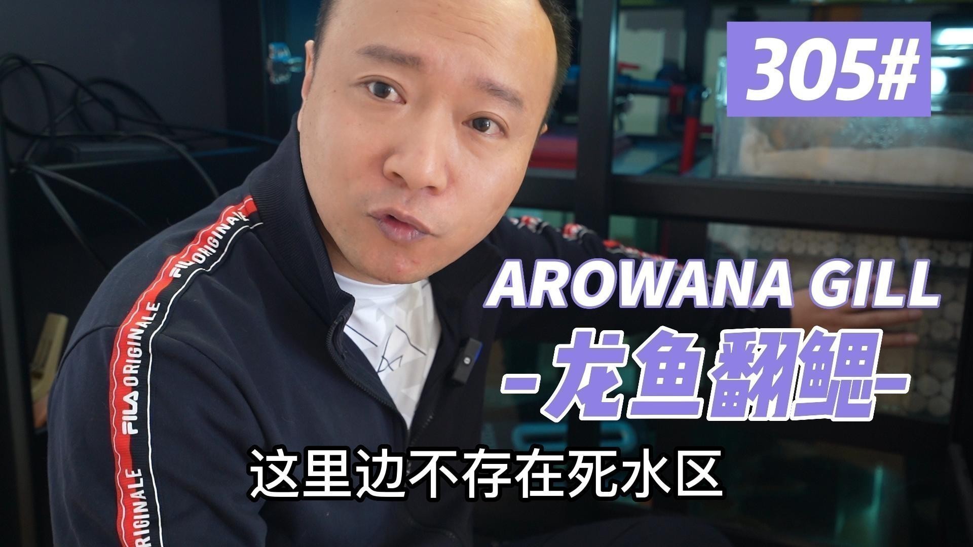 銀龍魚翻鰓癥如何治療？