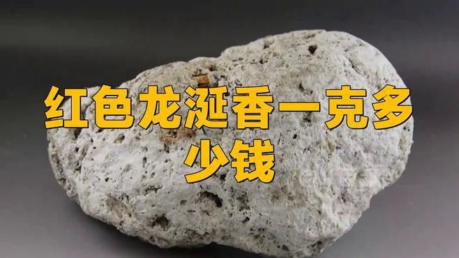 紅龍涎的價格是多少？