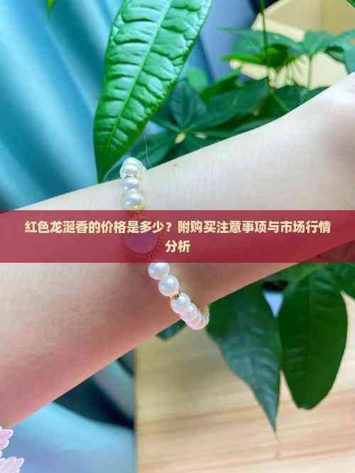 紅龍涎的價格是多少？
