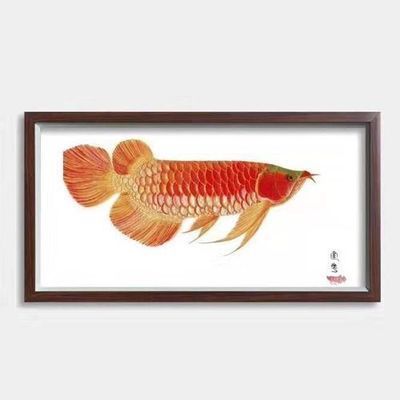 畫金龍魚的畫家是誰，畫金龍魚的著名畫家有幾位 畫金龍魚的畫家是誰，畫金龍魚的著名畫家有幾位 龍魚百科 第5張