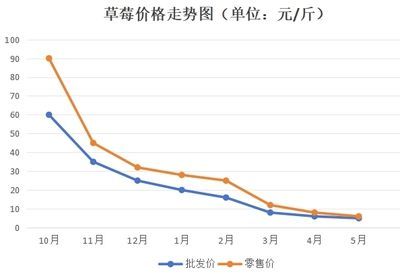 巴卡雷龍魚幼苗，巴卡雷龍魚幼苗飼養要點