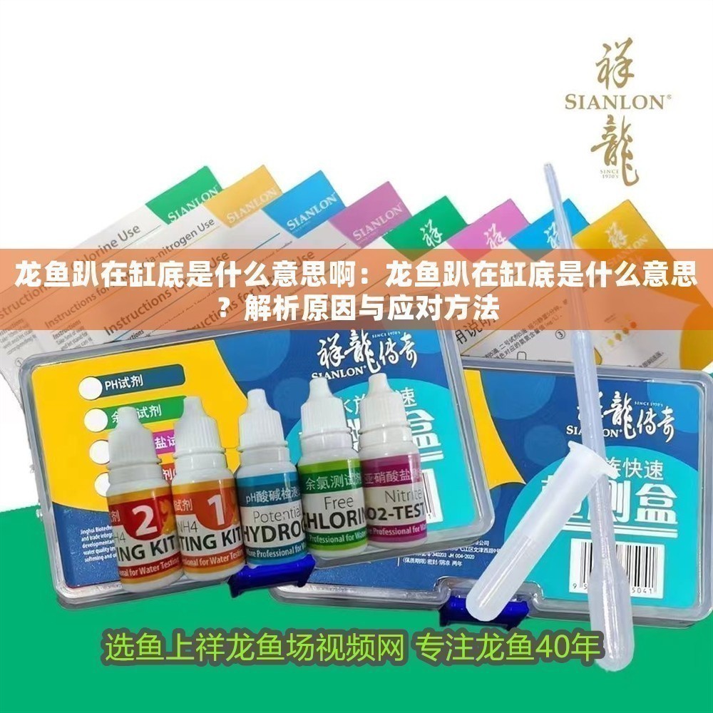 龍魚趴在缸底是什么意思啊：龍魚趴在缸底是什么意思？解析原因與應對方法