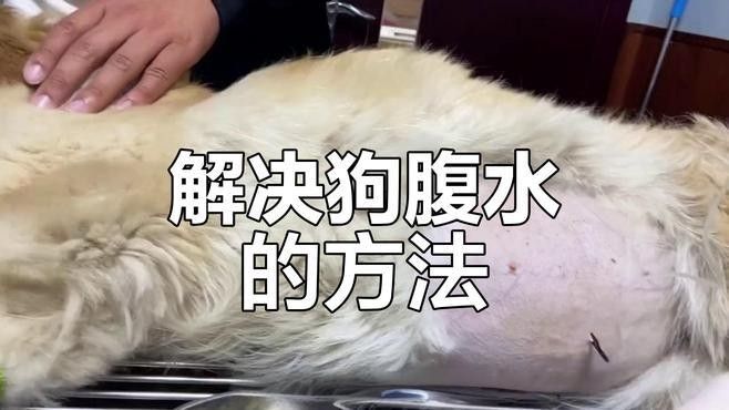 雷龍腹水可以自愈嗎？