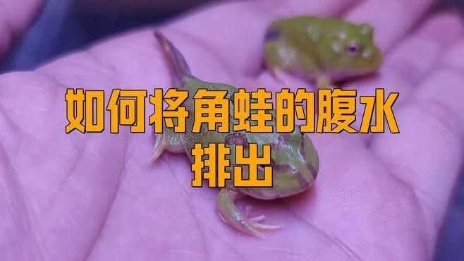 雷龍腹水會自行吸收嗎？