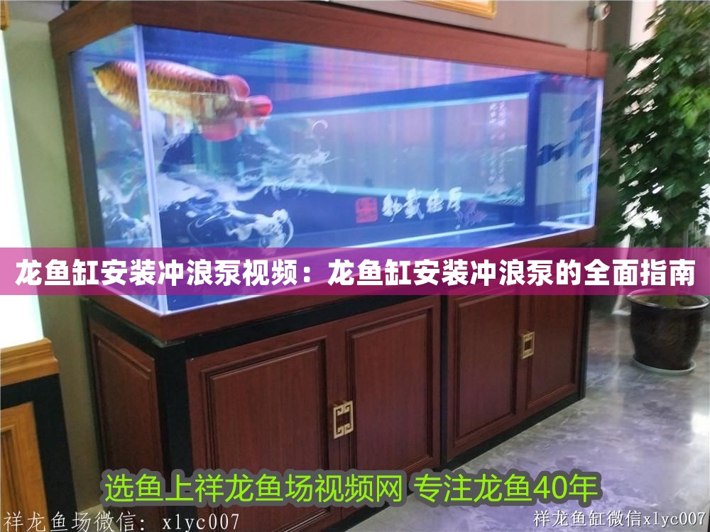 龍魚缸安裝沖浪泵視頻：龍魚缸安裝沖浪泵的全面指南 龍魚缸安裝沖浪泵視頻：龍魚缸安裝沖浪泵的全面指南 龍魚百科 第1張