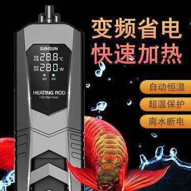 龍魚之巔加熱器維修(龍魚之巔加熱器維修方法) 龍魚百科 第4張 龍魚之巔加熱器維修(龍魚之巔加熱器維修方法) 龍魚之巔加熱器維修(龍魚之巔加熱器維修方法) 龍魚百科 第4張