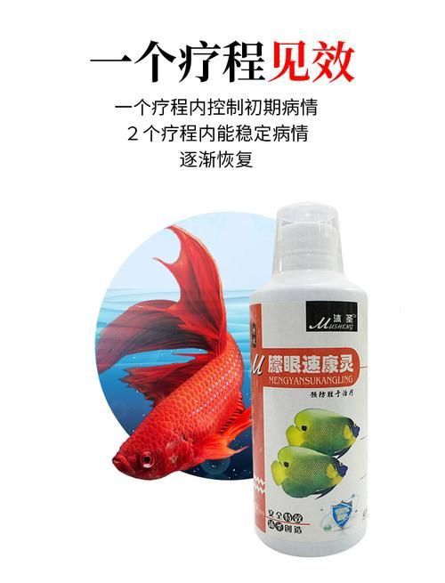 紅龍魚蒙眼最怕三個藥圖片