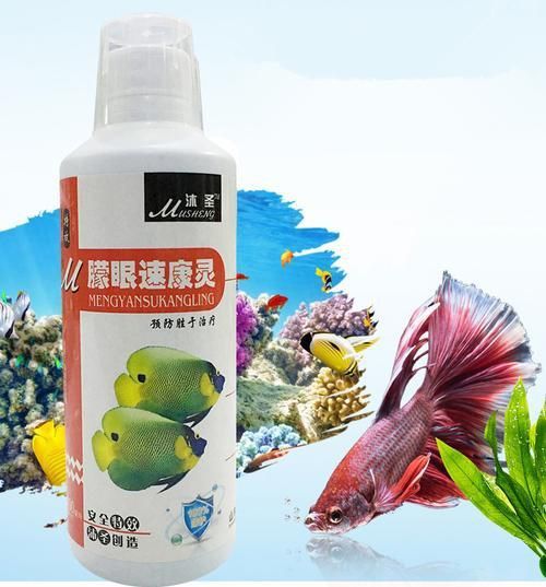 紅龍魚蒙眼最怕三個藥圖片