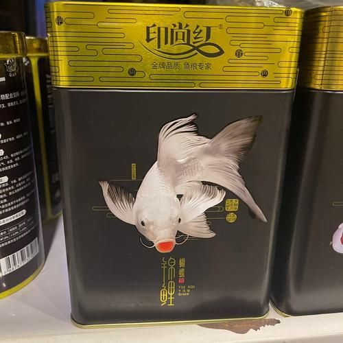 紅龍魚蒙眼最怕三個藥圖片