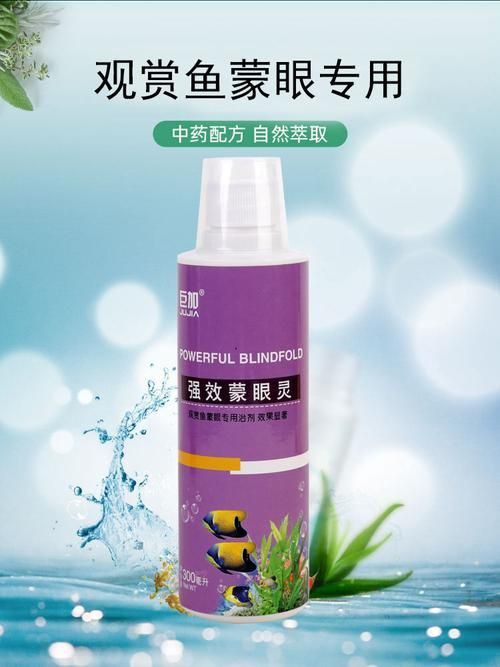 紅龍魚蒙眼最怕三個藥圖片