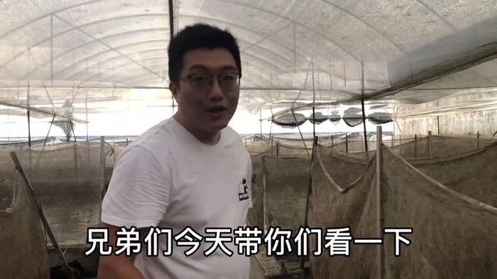 杭州金龍魚熱帶魚養殖基地地址電話號碼（杭州金龍魚熱帶魚養殖基地地址電話號碼查詢）
