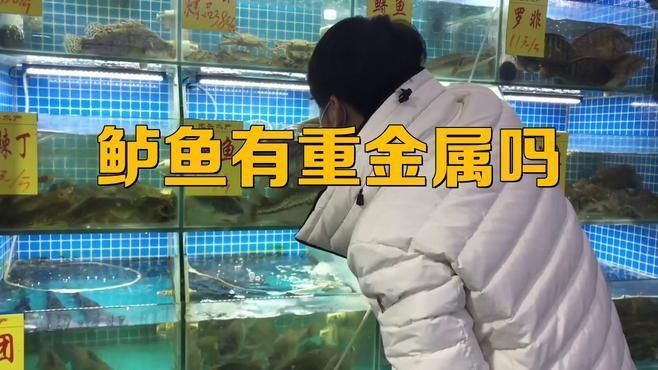 孔雀鱸魚可以吃嗎