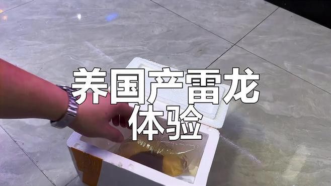 淡水雷龍魚 淡水雷龍魚 龍魚百科 第1張