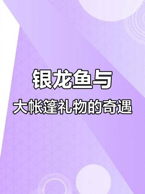 紫色銀龍魚圖片欣賞