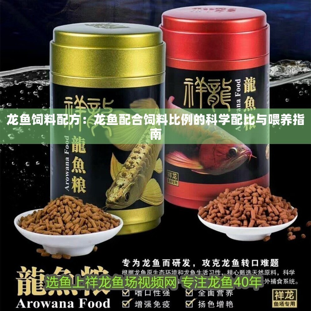 龍魚飼料配方：龍魚配合飼料比例的科學配比與喂養指南
