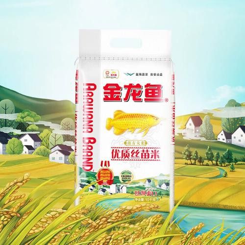 金龍魚優質絲苗米價格 金龍魚優質絲苗米價格 龍魚百科 第8張