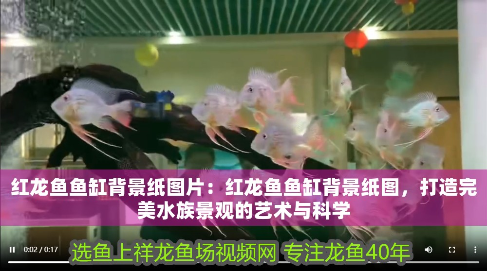 紅龍魚魚缸背景紙圖片：紅龍魚魚缸背景紙圖，打造完美水族景觀的藝術(shù)與科學(xué) 紅龍魚魚缸背景紙圖片：紅龍魚魚缸背景紙圖，打造完美水族景觀的藝術(shù)與科學(xué) 龍魚百科 第1張