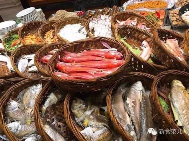 潮汕金龍魚是什么魚種（關于“潮汕金龍魚”的問題）