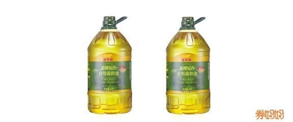 金龍還是銀龍魚好