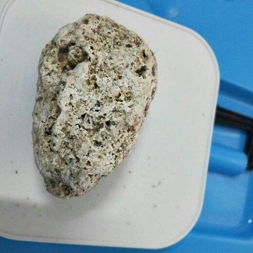 龍涎香擺件的價(jià)格范圍是多少？
