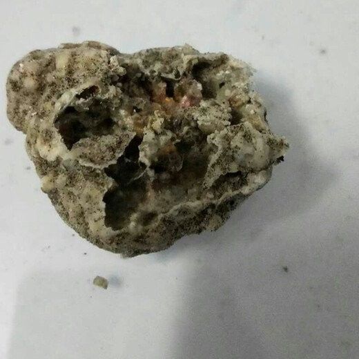 龍涎香擺件的價(jià)格范圍是多少？