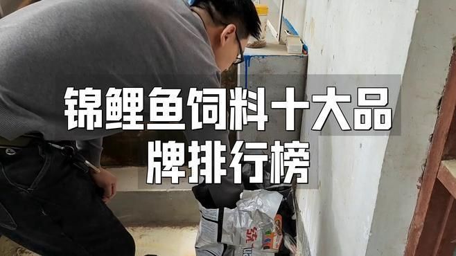 錦鯉魚糧十大品牌排行榜