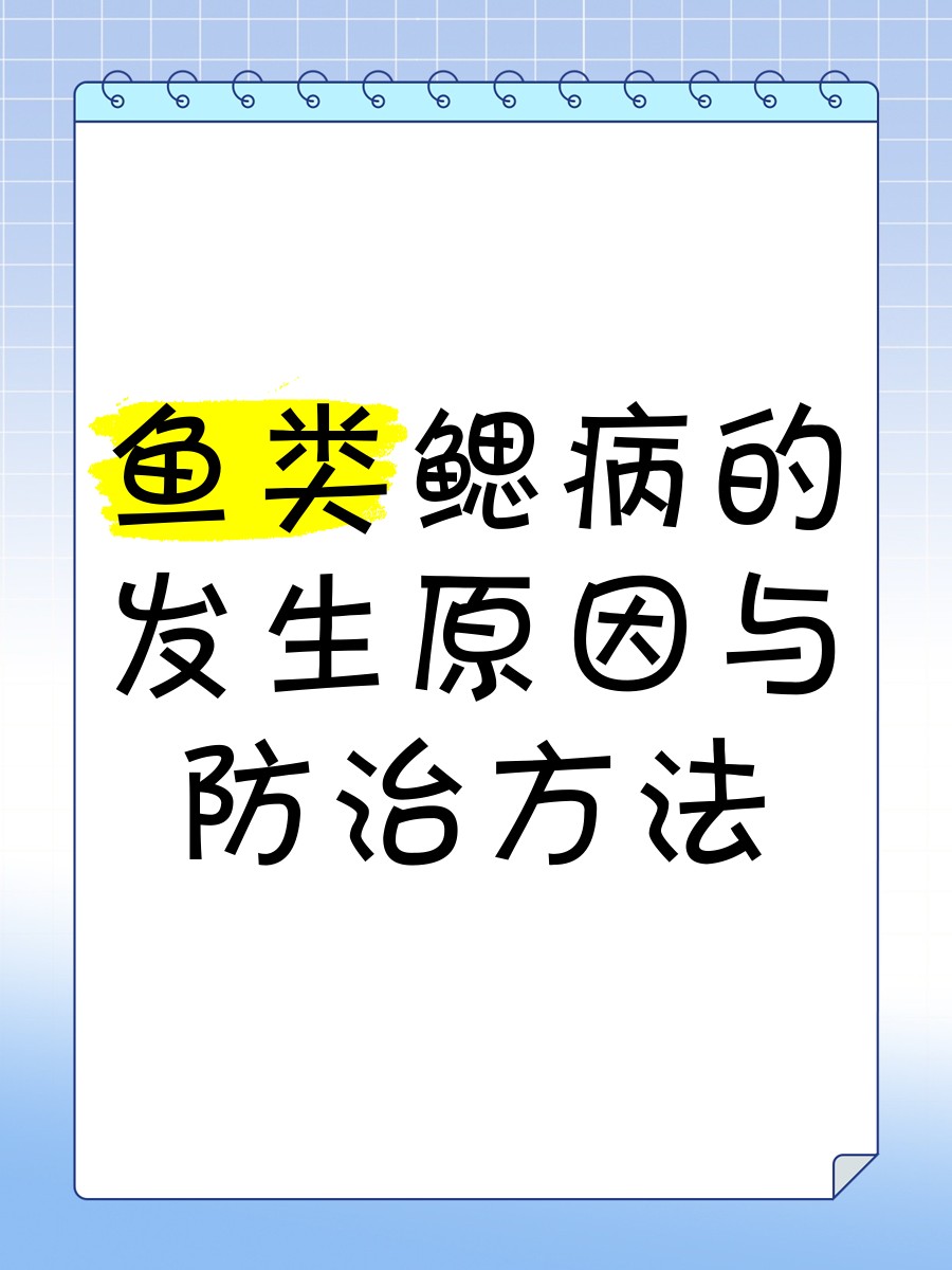 如何預防龍魚爛鰓？