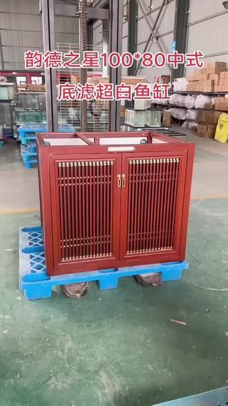 專業定做魚缸觀賞魚 龍魚世家水族館好口碑