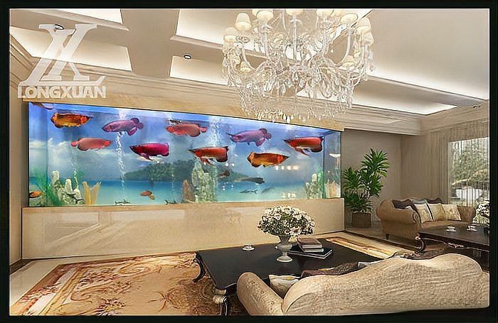 專業(yè)定做魚缸觀賞魚 龍魚世家水族館好口碑